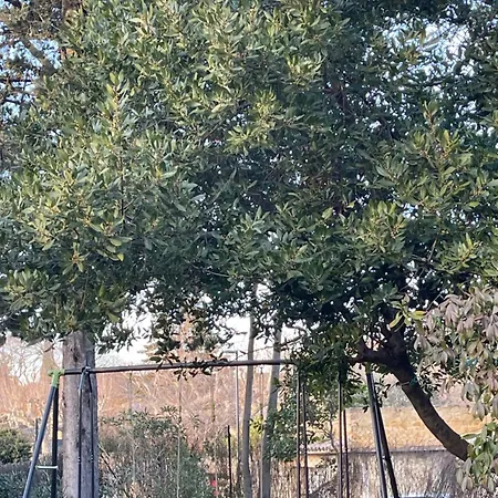 Maison De Charme Avec Jardin - Centre Village, Pont Du Gard 5 Min, Uzès Casa vacanze *